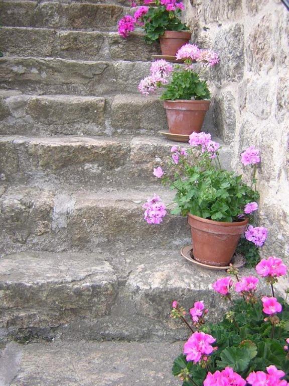 Mas Casta Nea Bed & Breakfast Thueyts Dış mekan fotoğraf