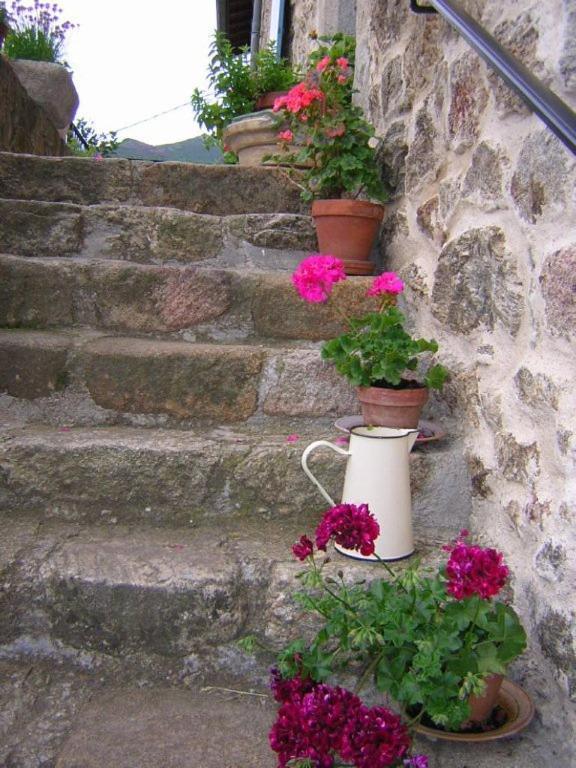Mas Casta Nea Bed & Breakfast Thueyts Dış mekan fotoğraf