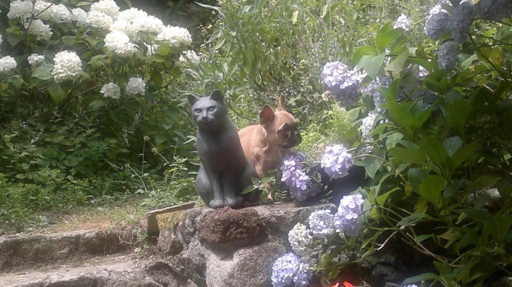 Mas Casta Nea Bed & Breakfast Thueyts Dış mekan fotoğraf